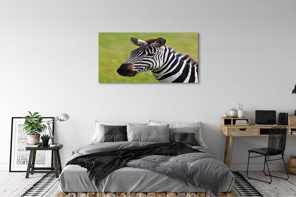 Obraz na płótnie Zebra w Zbliżeniu