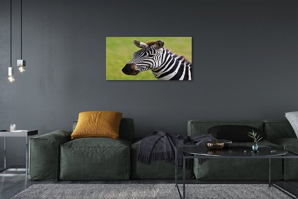 Obraz na płótnie Zebra w Zbliżeniu
