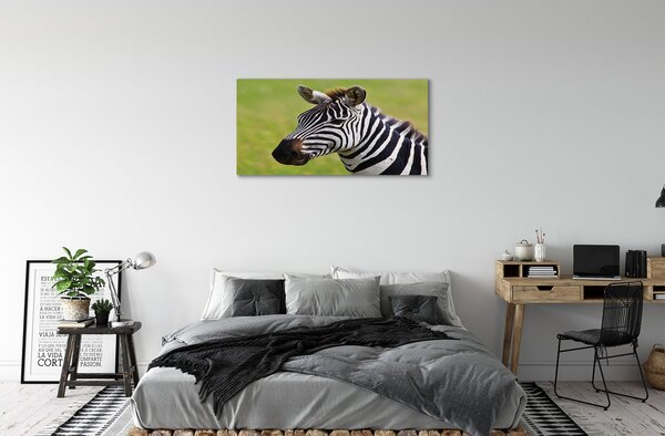Obraz na płótnie Zebra w Zbliżeniu