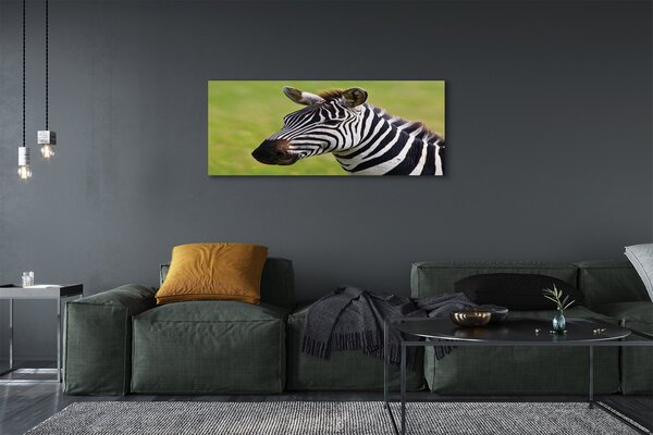 Obraz na płótnie Zebra w Zbliżeniu