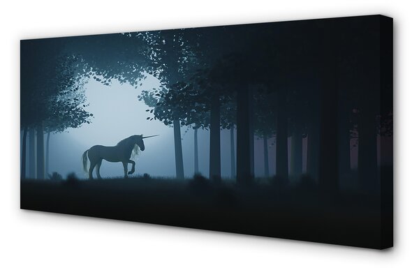 Zdjęcie na płótnie Nocny Las i Jednorożec