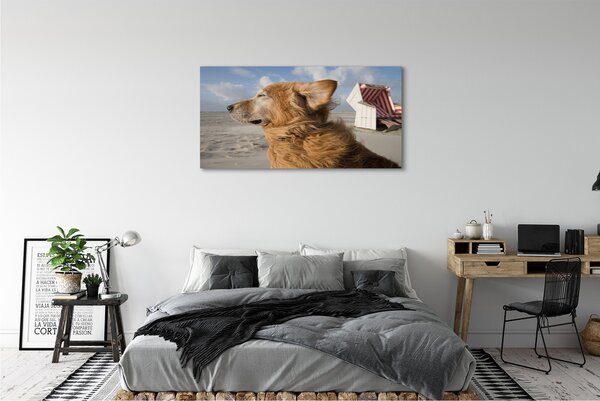 Obraz canvas na ścianę Brązowy Pies na Plaży