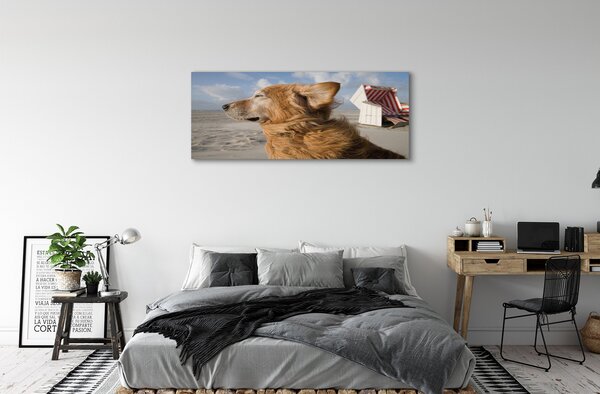 Obraz canvas na ścianę Brązowy Pies na Plaży