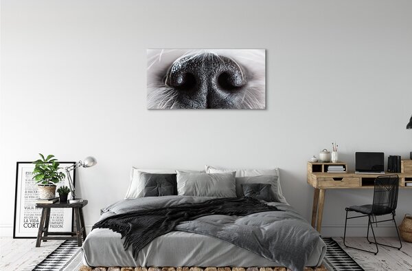 Obraz canvas na ścianę Nos Psa w Zbliżeniu