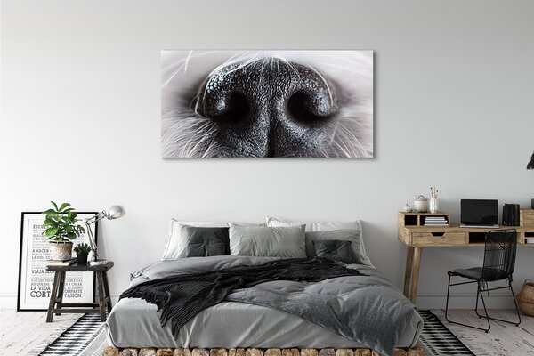 Obraz canvas na ścianę Nos Psa w Zbliżeniu