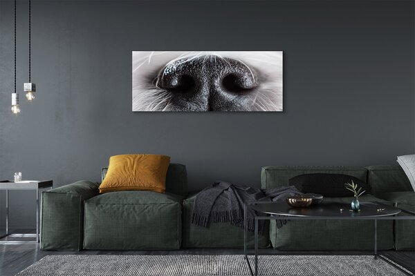 Obraz canvas na ścianę Nos Psa w Zbliżeniu
