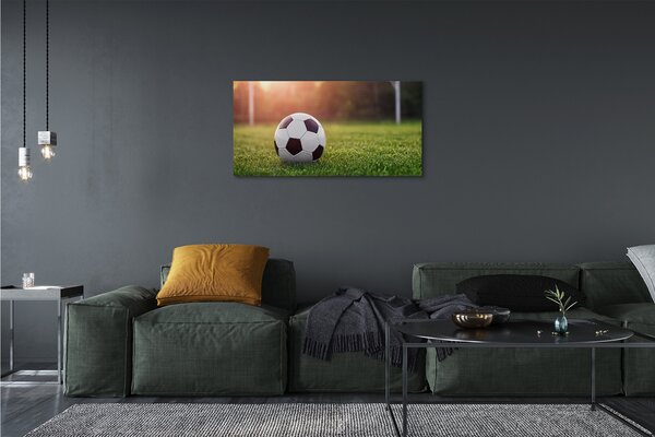 Obraz na płótnie Stadionowe Emocje Pod Bramką