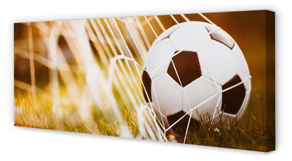 Obraz na płótnie Kontrastowy Futbol Na Murawie