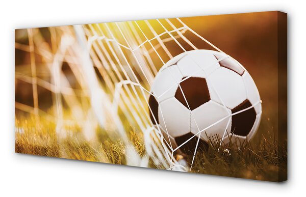 Obraz na płótnie Kontrastowy Futbol Na Murawie