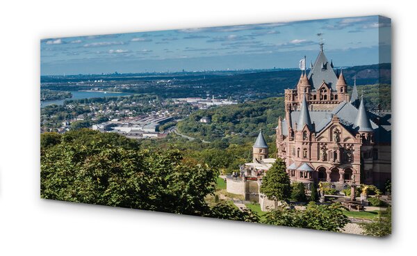 Obraz canvas na ścianę Panorama Miasta z Widokiem na Zamek