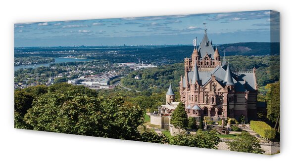 Obraz canvas na ścianę Panorama Miasta z Widokiem na Zamek