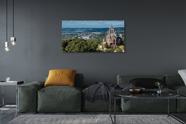Obraz canvas na ścianę Panorama Miasta z Widokiem na Zamek