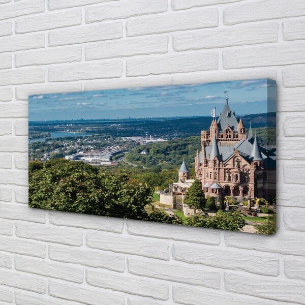 Obraz canvas na ścianę Panorama Miasta z Widokiem na Zamek