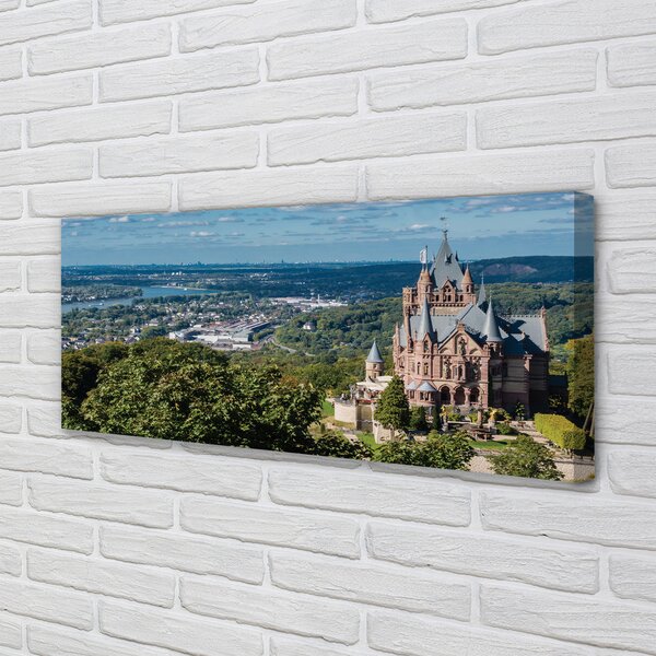 Obraz canvas na ścianę Panorama Miasta z Widokiem na Zamek