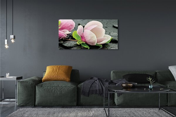 Obraz canvas na ścianę Magnolia i Kamienie