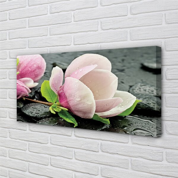 Obraz canvas na ścianę Magnolia i Kamienie