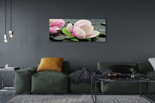 Obraz canvas na ścianę Magnolia i Kamienie