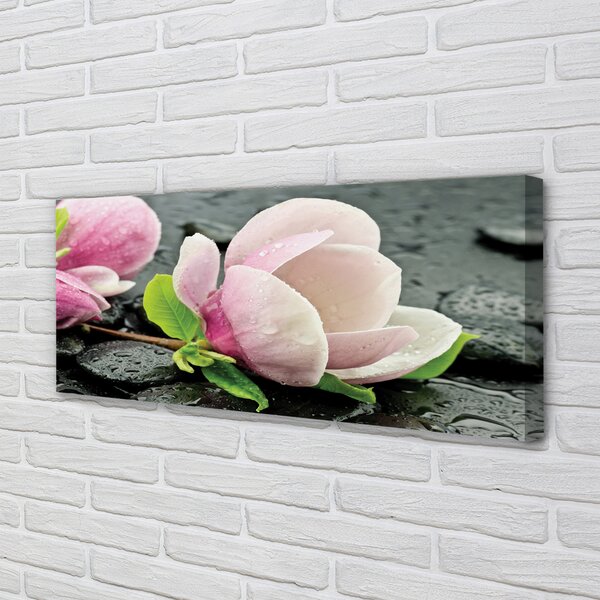 Obraz canvas na ścianę Magnolia i Kamienie