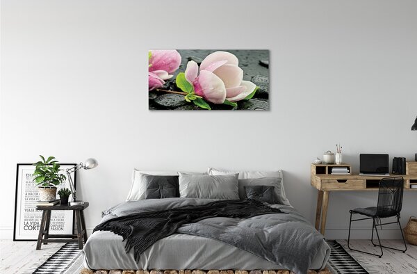 Obraz canvas na ścianę Magnolia i Kamienie