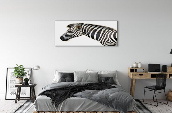 Zdjęcie na płótnie Samotna Zebra