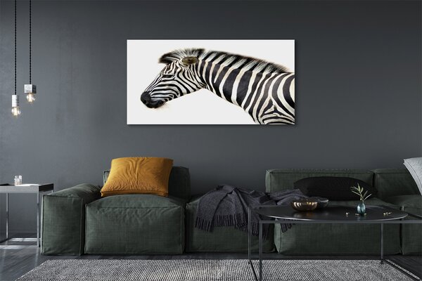 Zdjęcie na płótnie Samotna Zebra