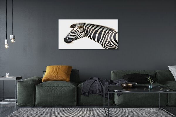 Zdjęcie na płótnie Samotna Zebra