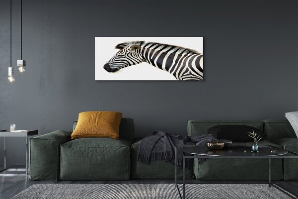 Zdjęcie na płótnie Samotna Zebra