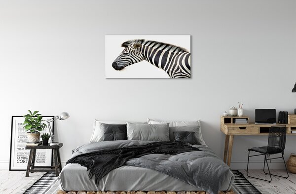 Zdjęcie na płótnie Samotna Zebra