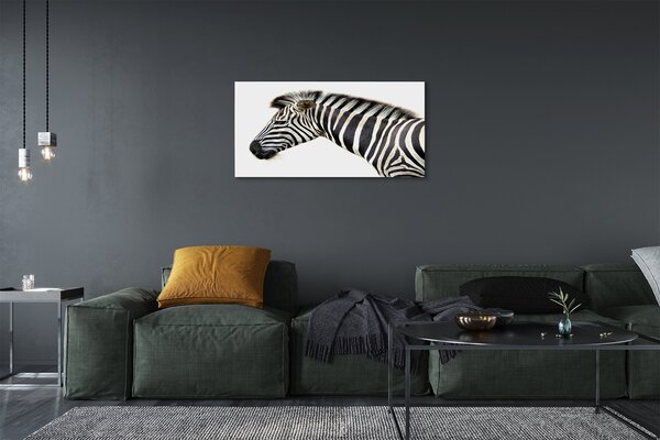 Zdjęcie na płótnie Samotna Zebra