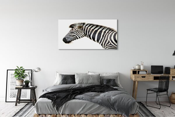 Zdjęcie na płótnie Samotna Zebra