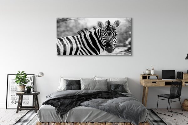 Zdjęcie na płótnie Zebra w Stylu Retro