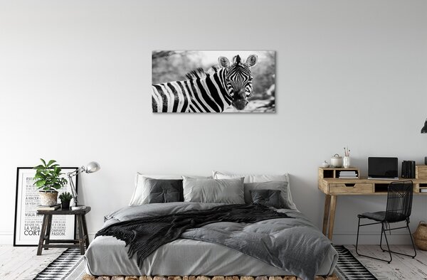 Zdjęcie na płótnie Zebra w Stylu Retro