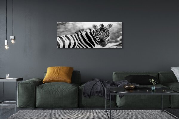 Zdjęcie na płótnie Zebra w Stylu Retro