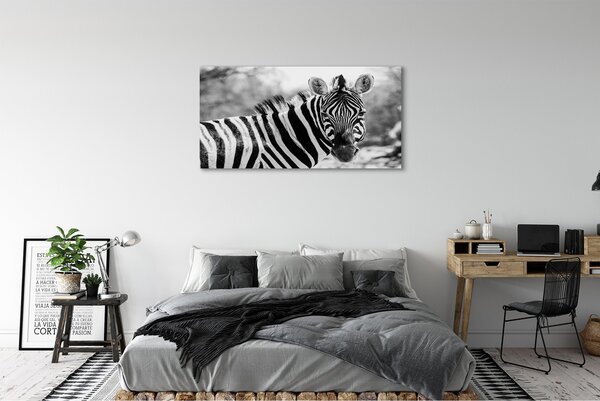 Zdjęcie na płótnie Zebra w Stylu Retro