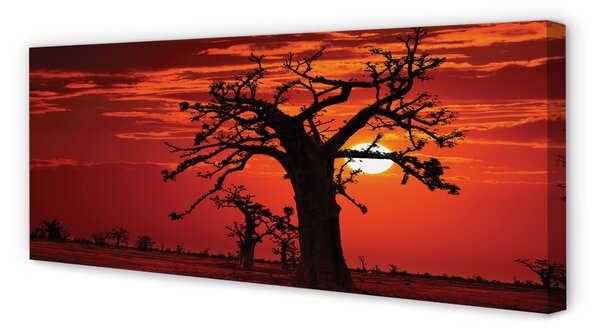 Obraz canvas na ścianę Drzewa i Chmury