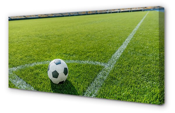 Zdjęcie na płótnie Stadionowa Arena Piłkarska