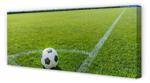 Zdjęcie na płótnie Stadionowa Arena Piłkarska