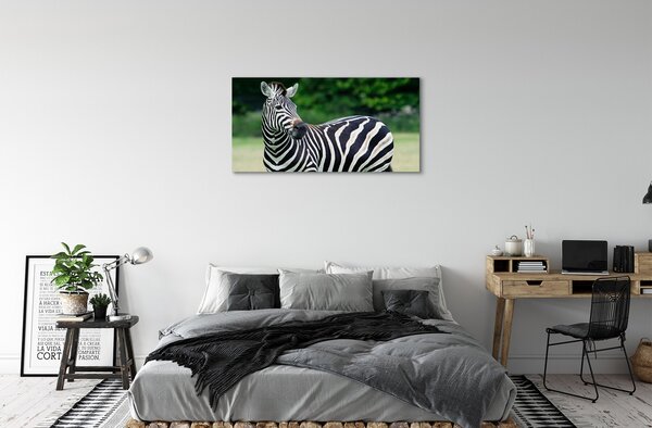 Zdjęcie na płótnie Zebra na Polu