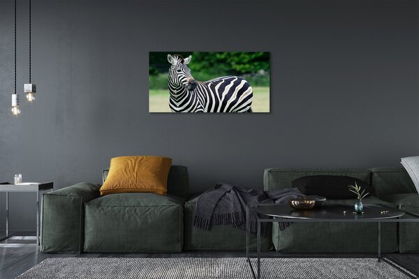 Zdjęcie na płótnie Zebra na Polu
