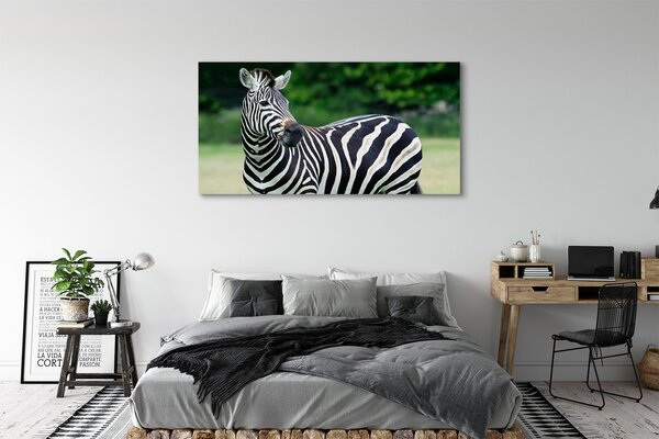 Zdjęcie na płótnie Zebra na Polu
