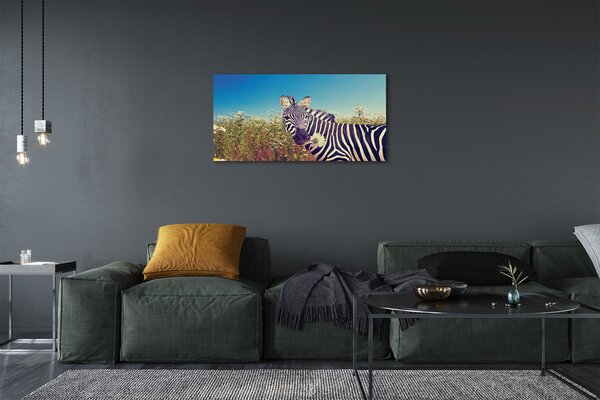 Zdjęcie na płótnie Zebra wśród Kwiatów