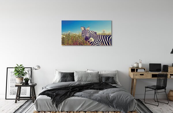 Zdjęcie na płótnie Zebra wśród Kwiatów