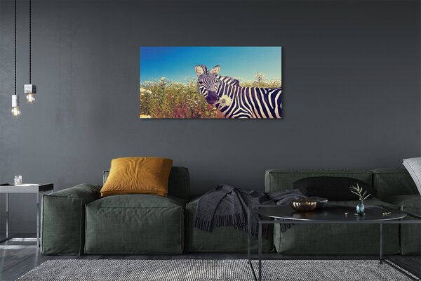 Zdjęcie na płótnie Zebra wśród Kwiatów