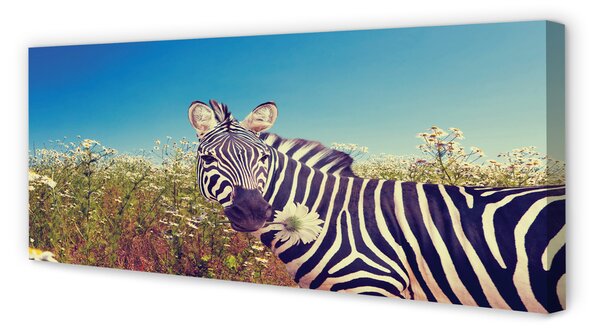 Zdjęcie na płótnie Zebra wśród Kwiatów