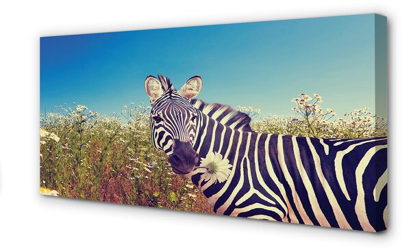 Zdjęcie na płótnie Zebra wśród Kwiatów