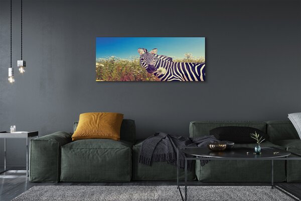 Zdjęcie na płótnie Zebra wśród Kwiatów