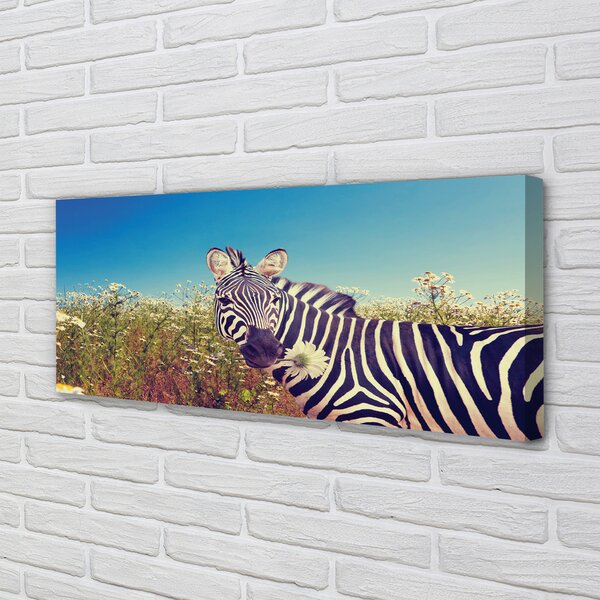 Zdjęcie na płótnie Zebra wśród Kwiatów