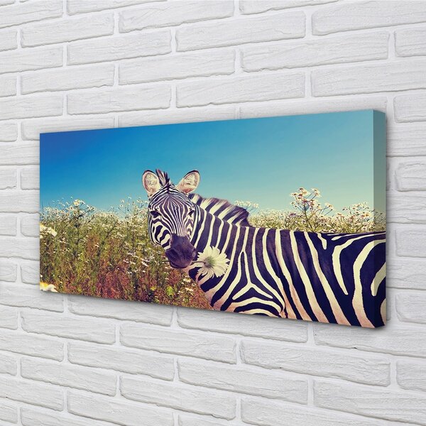 Zdjęcie na płótnie Zebra wśród Kwiatów