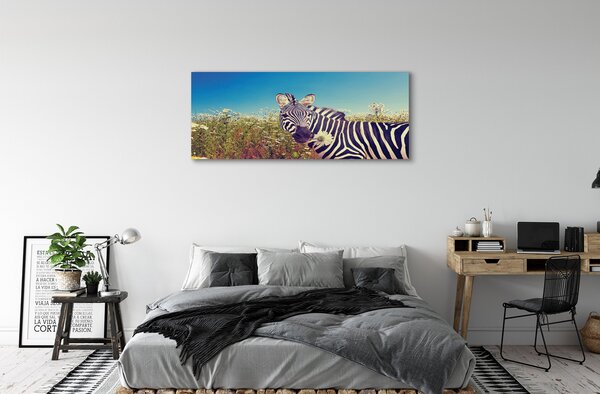 Zdjęcie na płótnie Zebra wśród Kwiatów