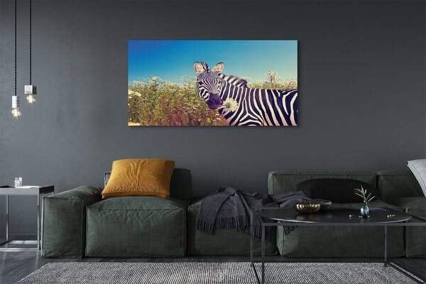 Zdjęcie na płótnie Zebra wśród Kwiatów